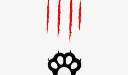 漫画猫爪,探索猫咪的神秘魅力